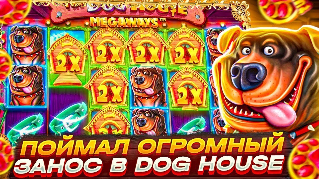 Дог Хаус Мегавейс